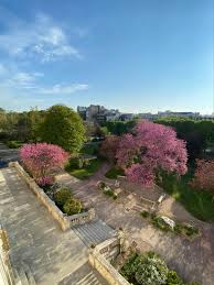 Collège victor duruy, collège, nice, 36 av arbre inférieur 06000 nice: Victor Duruy On Twitter L Acces Au Parc Pour Les Sixiemes Est Complet Jusqu A La Fin Avril Par Securite Un Seul Eleve Par Demi Journee L Operation Serait Reprise Si Le Confinement Etait Prolonge