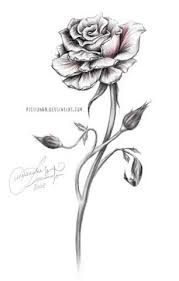 Resultado De Imagem Para Long Stem Rose Sketch In 2021 Black Rose Tattoos Tattoos Rose Tattoos