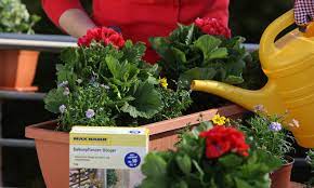 Welche balkonpflanzen eignen sich im fruhjahr wohnklamotte gartentipps für terrasse und balkon im märz. Balkonblumen Pflege Selbst De