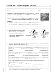 Sekundarstufe Unterrichtsmaterial Biologie
