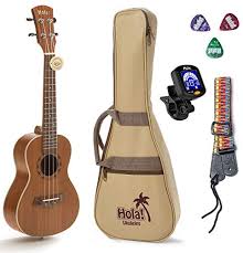 If you have any questions. Best Ukulele For Beginners In 2021 Techlifeland