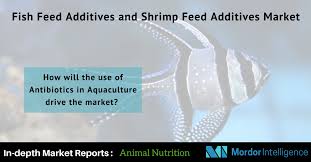 India Ranked First In The Shrimp Exporter Category To The International Market In 2016 With A Production Of 438 500 Metric Animal Nutrition Fish Feed Feeding