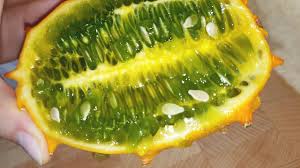 Prepare the soil ahead of time by digging in a few inches of organic manure or compost, as well as coffee. African Cucumber How To Eat Kiwano Horned Melon Melano Youtube
