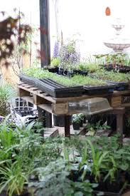 Although cut flowers are bred and selected for naturally long, strong, straight stems, some species are worth growing but require extra support. How To Start A Beautiful Cut Flower Garden The Kokoro Garden