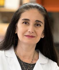 HTN22 Awards and Lectures Brochure