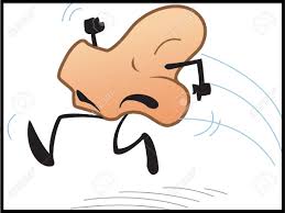 On my shoulders, on my face, on my knees, & at my side, then behind me they will hide. Nose Clipart Coloring Pages And Other Free Printable Design Themes