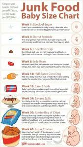 junk food baby list baby size chart baby chart baby weeks