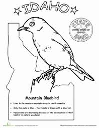 Chickadee and white pine cone maine state bird and flower coloring page from chickadee category. Idaho State Bird Worksheet Education Com State Birds Idaho State Idaho