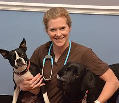 American pet hospital is located in modesto city of california state. Our Team Leland Veterinary Hospital