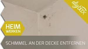 Schimmelpilzbefall) in wohnungen oder büros an wänden oder decken sieht nicht nur unschön aus. Schimmel Entfernen Oberflachenschimmel An Der Decke Beseitigen Youtube