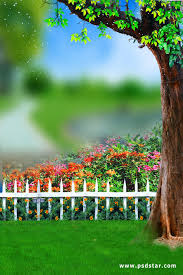 Change an image background in seconds. Nature Studio Background Hd Full Size Novocom Top