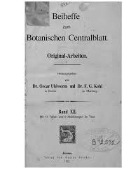 Image result for Orthochilus subulatus