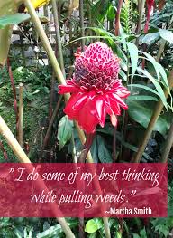 Take a quick break from your busy day and enjoy these flower quotes about beauty, life lessons, joy, and even a little humor! Inspirational Flower Quotes Motivational Sayings With Photos Of Flowers