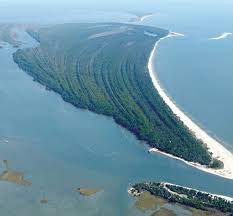 Enjoy lush landscapes, lots of wildlife, and great fishing. Explore Nature At St Vincent Island National Wildlife Refuge Walton Outdoors