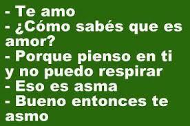 Pin On Animate Orale