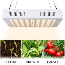T5 grow lights give you a higher efficiency in terms of energy and of course also better yields. Amazon Com Apelila Grow Light