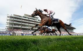 Winners of the derby generally compete for the prix de l'arc de triomphe in france in october and some the derby originated at a celebration following the first running of the epsom oaks in 1779. Anthony Van Dyck Wins The 2019 Derby To Give Aidan O Brien Record Equalling Victory