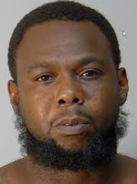 Leesburg man who allegedly stole girlfriend's car caught hours after  eluding police in chase