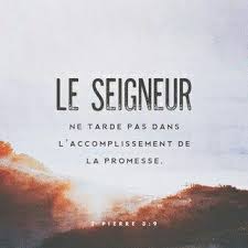 Dieu Arrive Pour Changer Votre Vie Soyez Patient Et Pleine De Sagesse Citations Bibliques Bible En Francais Citations Chretiennes