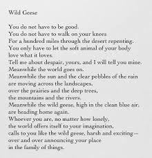 Image Result For Healing Poem Mary Oliver Mary Oliver Poems Mary Oliver Quotes Mary Oliver