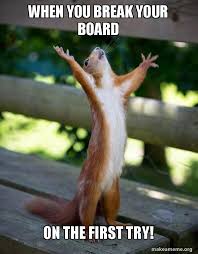 It Usually Takes Me More Than One Try On Jump Spinning Kicks But Occasionally I Ll Get It On The First Try Taekwon Happy Squirrel Funny Animals Cute Animals