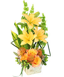 We did not find results for: Jacksonville Florist Jacksonville Fl Flower Shop St Johns Flower Market