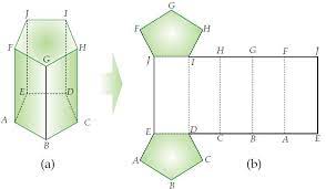 Limas segi enam beraturan c. Contoh Cara Membuat Jaring Jaring Primas Dan Limas Segitiga Segi Empat Dan Segi Lima Berpendidikan Com