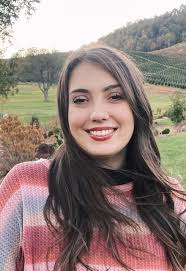 Let's Be Artsy! Paint and Sip Crafts Parties Events Paint Classes Boone, NC