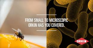 Average orkin pest control technician hourly pay in the united states is approximately $16.59, which is 8% above the national average. Orkin Egypt Pest Control Home Facebook