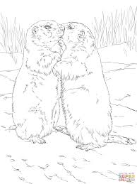 Free printable dog coloring pages for kids. Drawing Prairie Dog Drawing Easy Step By Step