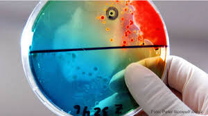 All png images can be used for personal use unless stated otherwise. Biological Collections Fundacao Oswaldo Cruz Fiocruz Ciencia E Tecnologia Em Saude Para A Populacao Brasileira