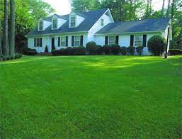 Get 50% off your first lawn application. My Lawn Next Year Grassroots Lawn Mowing Services Lawn Care Lawn Landscape Services