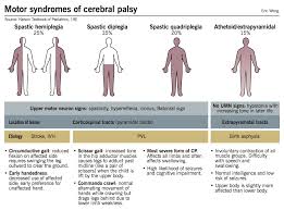 Cerebral Palsy Mcmaster Pathophysiology Review