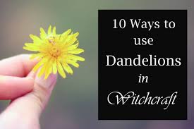 Dandelion drawing svg, dandelion clipart, cut files for silhouette, dandelion file, printable, instant download svgstudiogoods 5 out of 5. What Does Dandelion Symbolism