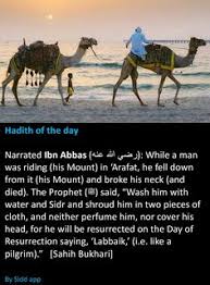 His interrogation of the person included, among other things, a thorough understanding of how a given hadith traveled from the prophet's mouth all the way to the person now sitting in front. 470 Akhirah Ideas Islamic Quotes Quran Quotes Islamic Inspirational Quotes