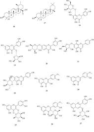 Image result for Tapinanthus constrictiflorus