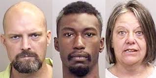 Mendocino County Today: Wednesday, Nov 11, 2015