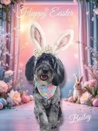 Doodles 'N More Grooming added...