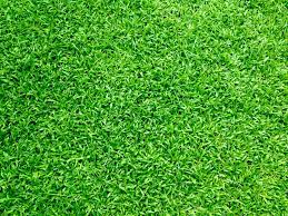 © 2021 southern california edison 9 Terrific Benefits Of Artificial Turf In Fort Lauderdale Florida