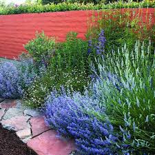 Gorgeous Garden Border Design Ideas For Any Yard In The West Sunset Beautiful Gardens Garden Borders Outdoor Gardens