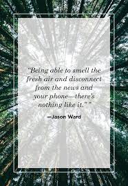 These quotes help to encourage people to appreciate the real beauty of nature and allow us to celebrate the best moments we have with nature. 58 Best Nature Quotes Inspirational Sayings About Nature
