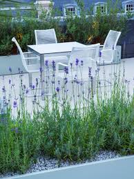The problem with the traditional high pressure sodium (hps) and metal want serious results from their indoor plants. Low Maintenance Planting Design Modern Garden Design Plants London