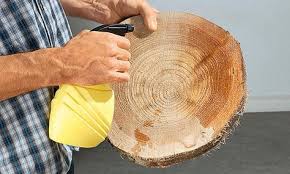 Basteln Mit Baumscheiben Baumscheiben Deko Baumscheiben Basteln Mit Holzscheiben