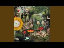 Image result for Dissotis falcipila