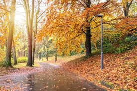 From Fall Foliage to First Frost: The Old Farmer's Almanac vs. NOAA Showdown for Northeast US 2026