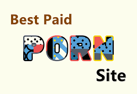 Access 5 Best Paid Porn Site for Free [Safely & Privately]