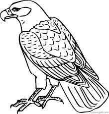 Kizicolor.com provides a large diversity of free printable coloring pages for kids, coloring sheets, free colouring book, illustrations, printable pictures, clipart, black and white pictures, line art and drawings. Red Tailed Hawk Coloring Page Coloringall