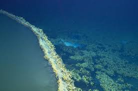 5 5 16 Deep Sea Brine Lake Dubbed Jacuzzi Of Despair A Strange Lake Of Super Salty Dense Water Is Discovered On The Botto Google Earth Images Deep Sea Lake