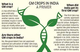 All crop modification techniques have risk, including crops developed by traditional breeding. Genetically Modified Organisms As Imported Food Crops