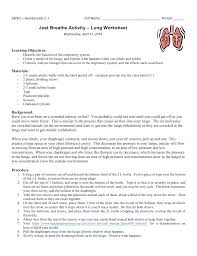 30 Activity Label The Respiratory System Labels Database 2020
